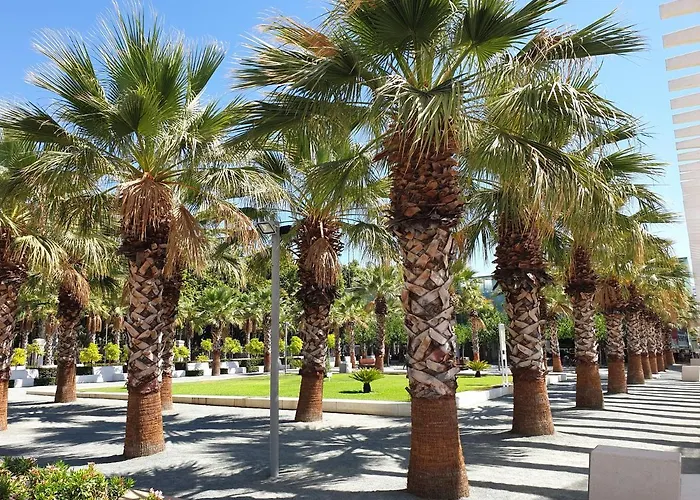 Tenerias 2